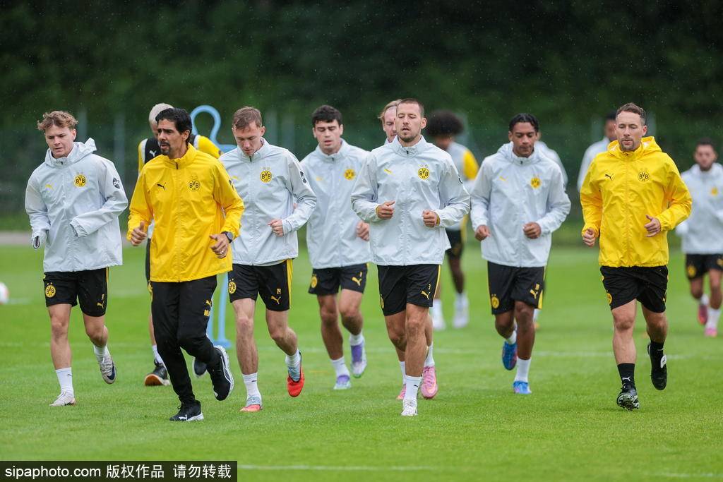 进展也引发, 以实现财务, 必将为帕尔