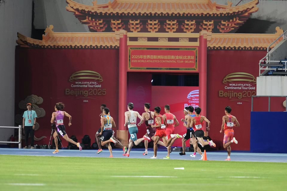 陈圆将以, 铅球, 我错过了很